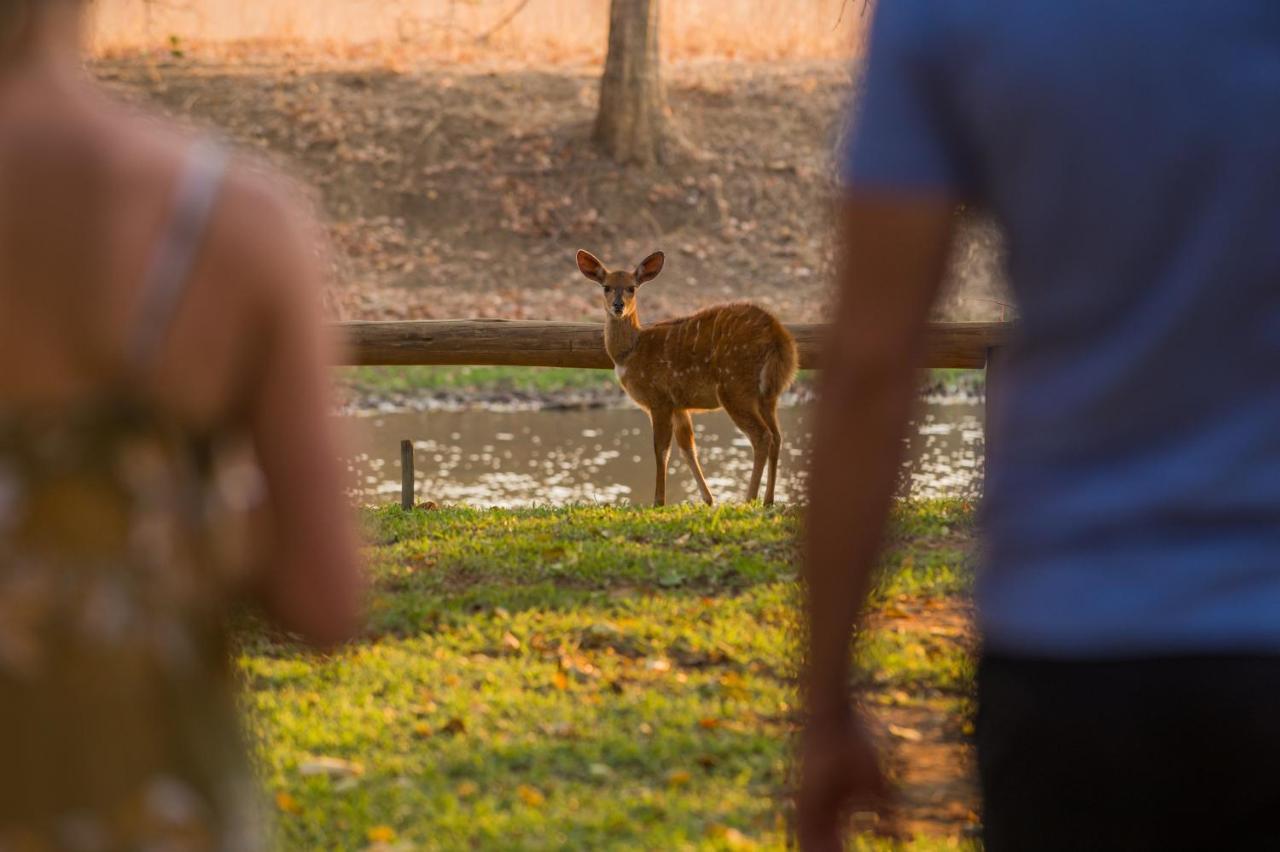 Lilayi Lodge Lusaka Zewnętrze zdjęcie